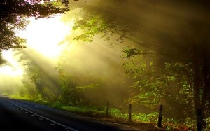 Sun Rays on Road-green