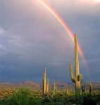 Bkgd-desert-rainbow